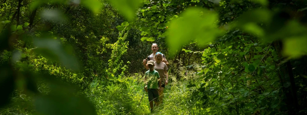 famille en rando dans la forêt