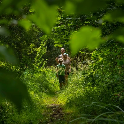 famille qui marche en forêt