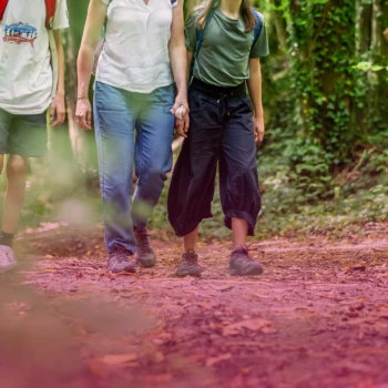 famille en rando dans la forêt