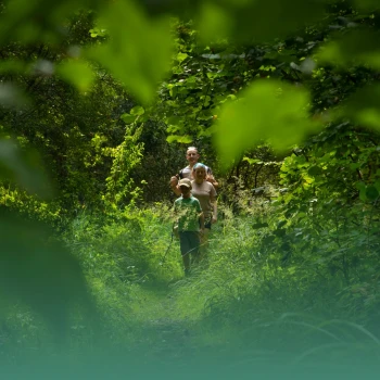 famille en rando dans la forêt