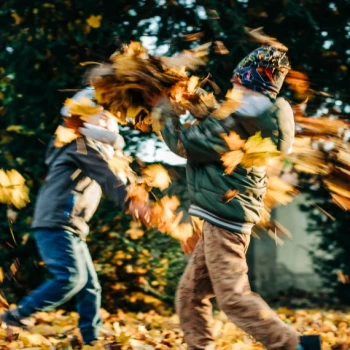 activités enfants vacances toussaint bataille feuilles mortes