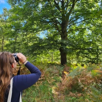 jeune fille en forêt avec des jumelles