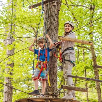 accrobranche aventure arbre enfants