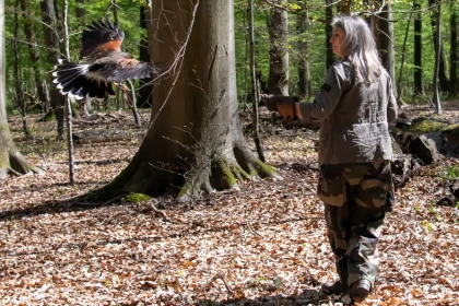 Atelier Découverte de la Fauconnerie - Oise.fun
