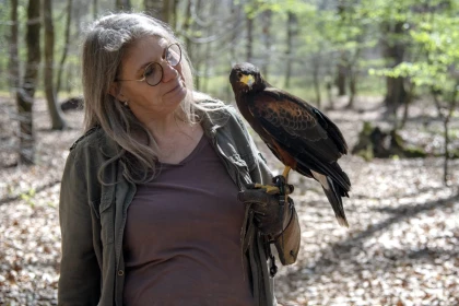 Atelier Découverte de la Fauconnerie - Oise.fun