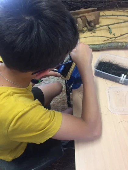 Atelier famille – Fabrique ton mini-balai magique (vacances de printemps) - Oise.fun