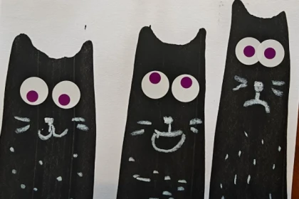 Atelier Qui miaule ? Les petits scientifiques et le chat noir ! - Oise.fun