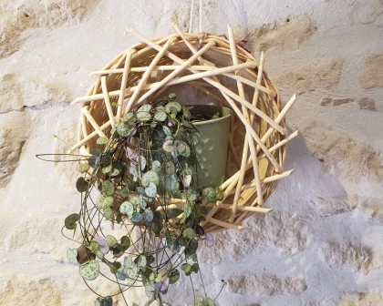 Apprenez la vannerie – Votre premier objet en osier français 🌿 - Oise.fun