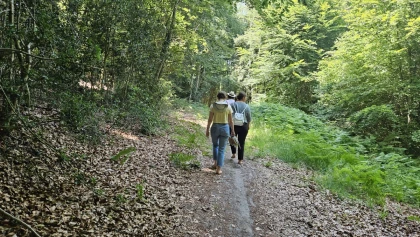 Méditation insolite - une immersion sensorielle en forêt - Oise.fun
