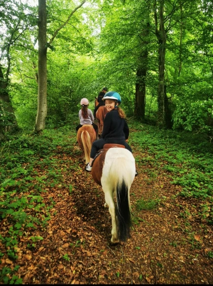 Balade à Poney dans le Beauvaisis - Oise.fun