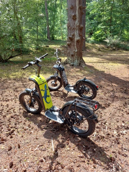 balade des marais - Oise.fun