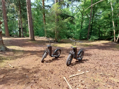 balade des marais - Oise.fun