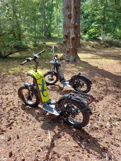 Excursion guidée en trottinette cross autour des Marais de Sacy - Oise.fun