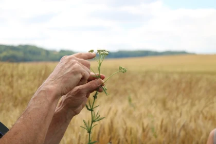 Balade gourmande à Ons-en-Bray - Oise.fun