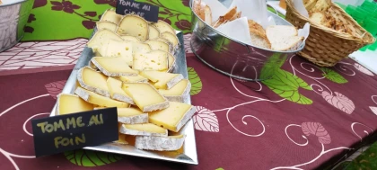 Balade gourmande d'automne – Nature, plantes et dégustation locale - Oise.fun