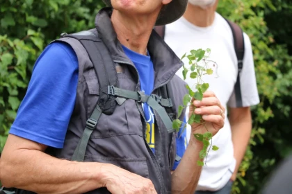 Balade gourmande au départ de Blacourt - Oise.fun