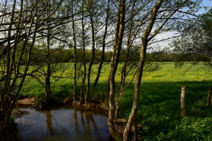Balade guidée à vélo à Lachapelle-aux-Pots - Oise.fun
