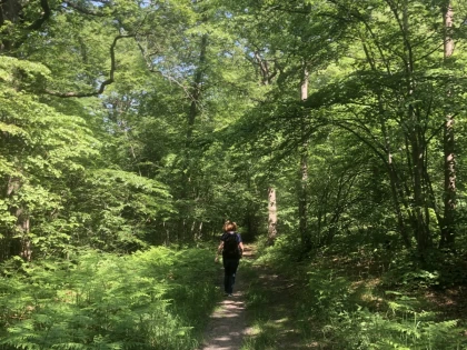 Balade immersive sur mesure – La parenthèse à (s’)offrir dans le Massif des Trois Forêts 🎁 - Oise.fun