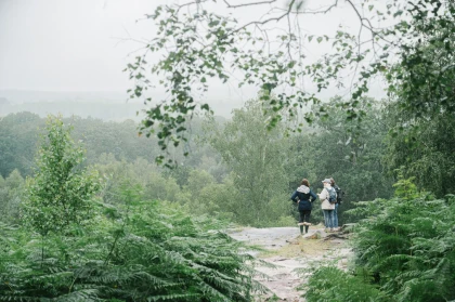 Balade immersive sur mesure – La parenthèse à (s’)offrir dans le Massif des Trois Forêts 🎁 - Oise.fun