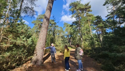 Balade immersive sur mesure dans le Massif des Trois Forêts, pour 1 ou 2 personnes. - Oise.fun