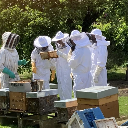 Baptême d'Apiculture - Oise.fun