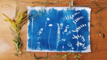 Créez votre œuvre déco unique - Atelier Initiation au Cyanotype - Oise.fun