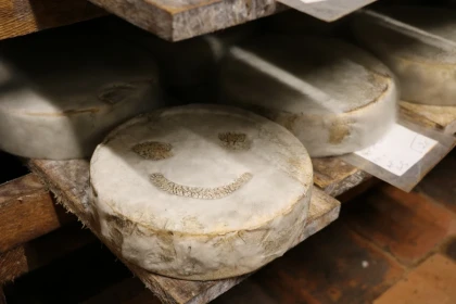 Visite & Dégustation à la Fromagerie Beaudoin – Succombez à la tomme au foin ! - Oise.fun