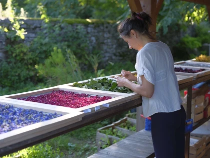 Du jardin du Prieuré à l’assiette  - Oise.fun