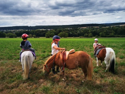 Journée Poney Nature pendant les vacances - Oise.fun
