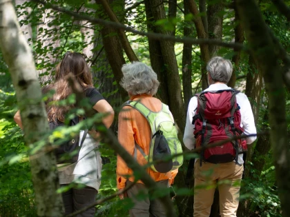 Micro-aventure, demi-journée de découverte de la forêt - Oise.fun
