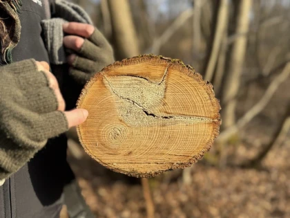 Micro-aventure, demi-journée de découverte de la forêt - Oise.fun