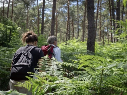 Micro-aventure, journée de découverte de la forêt - Oise.fun