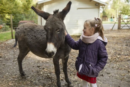 Mini-fermier – Rencontre avec les animaux au Parc Chédeville - Oise.fun