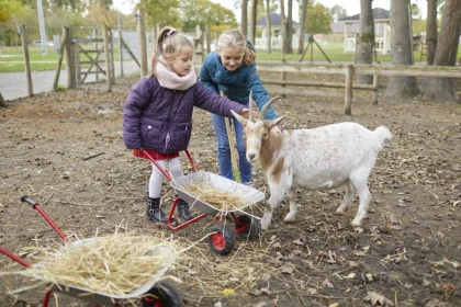 MINI FERMIER - Oise.fun