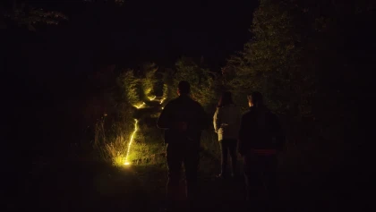 Nuit sous les étoiles – Contes et ciel nocturne sur la colline Sainte-Hélène - Oise.fun