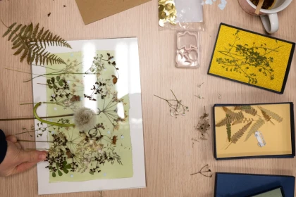 Venez faire des cyanotypes ! Une autre expérience de la photo - Oise.fun