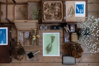 Venez faire des cyanotypes ! Une autre expérience de la photo - Oise.fun