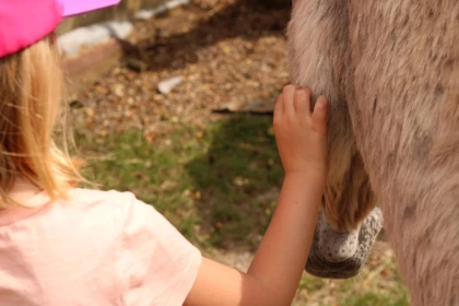 Visite de l'Asinerie du Vauroux et du musée hippomobile - Oise.fun
