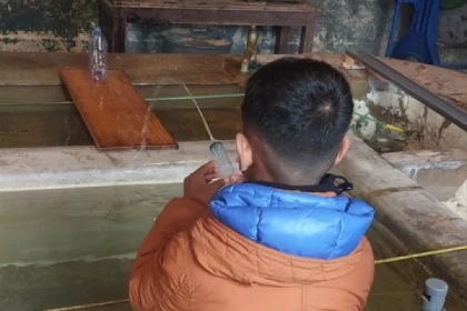 Visite du Pavillon de Manse + défi “tir à l’eau” – Science & fun en famille - Oise.fun