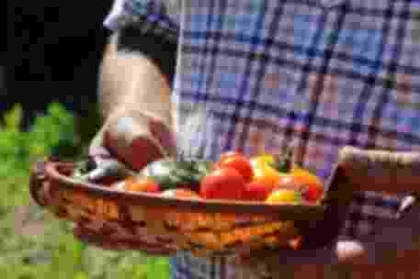 Visite du Jardin du Brûle & atelier cuisine : préparez votre gaspacho - Oise.fun