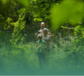 famille en rando dans la forêt