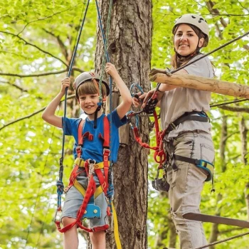 accrobranche aventure arbre enfants