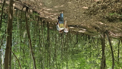 Balade nature en forêt de Compiègne - Oise.fun
