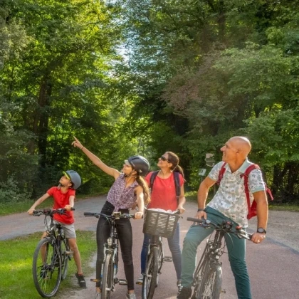 famille qui fait du vélo dans la forêt