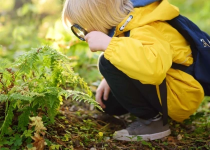 enfant avec une loupe forêt enfant avec une loupe forêt