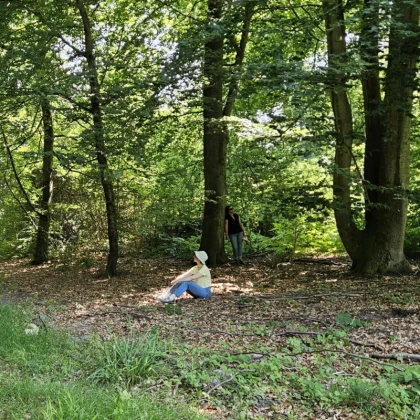groupe qui médite dans la forêt