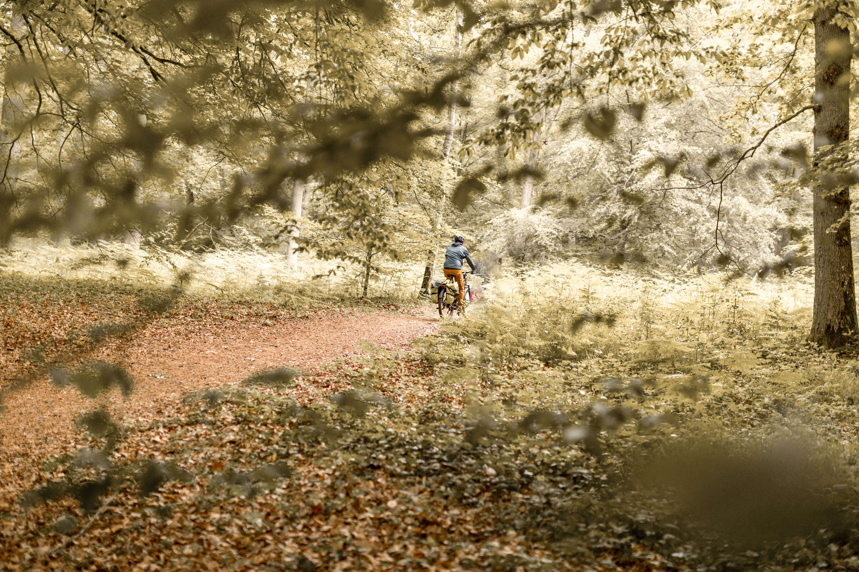 Sorties d'automne - Oise.fun