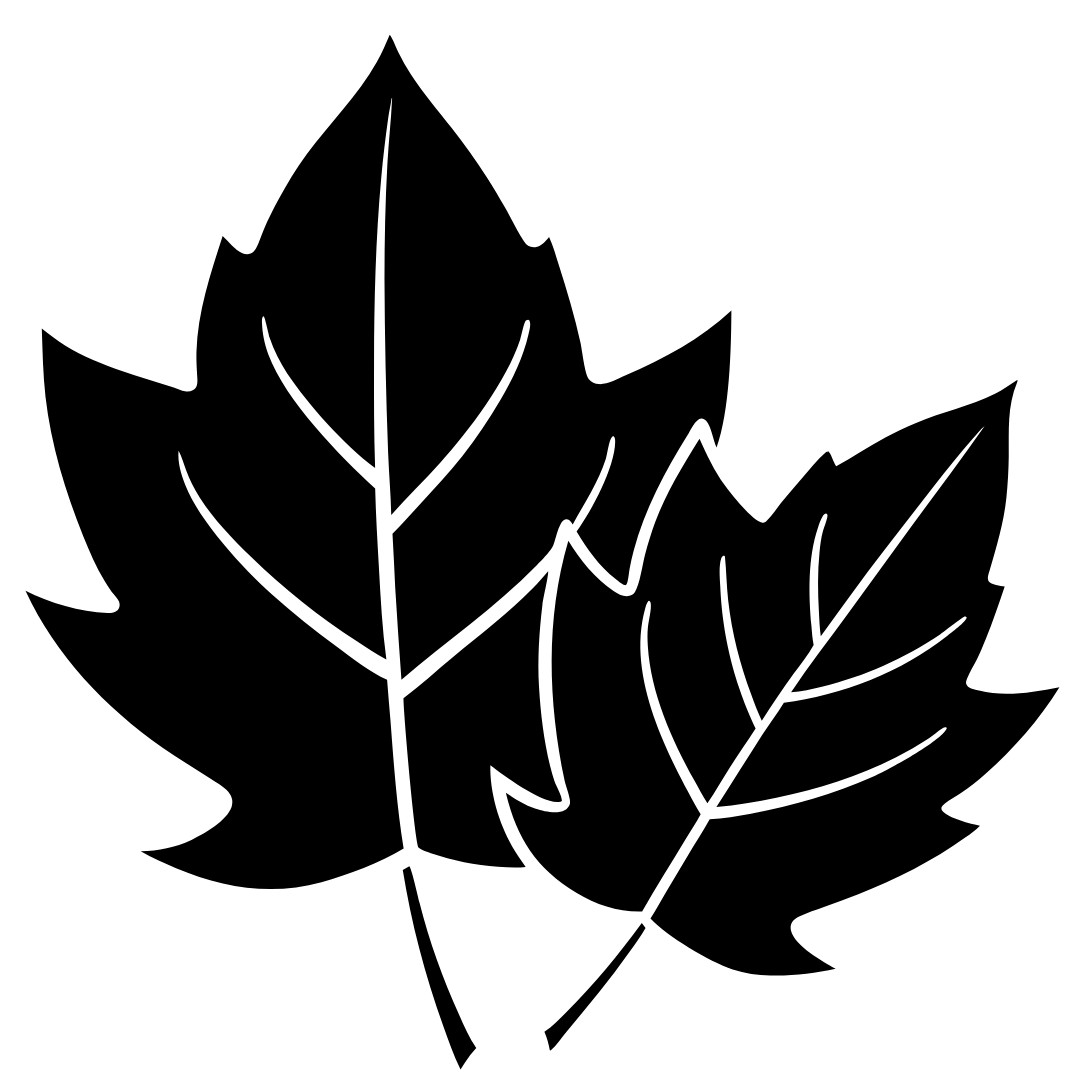 logo Sorties d'automne