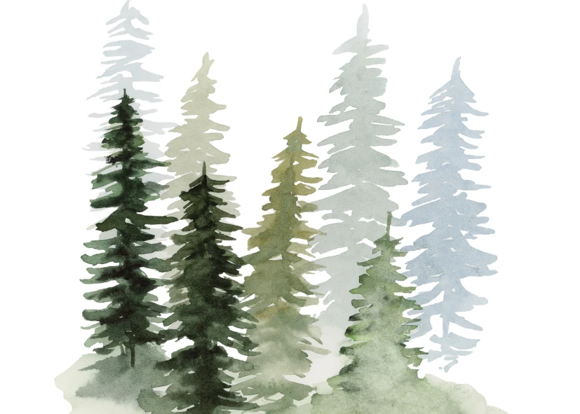 Atelier aquarelle de Noël – Créez votre demoiselle en couleur près de Chantilly - Oise.fun