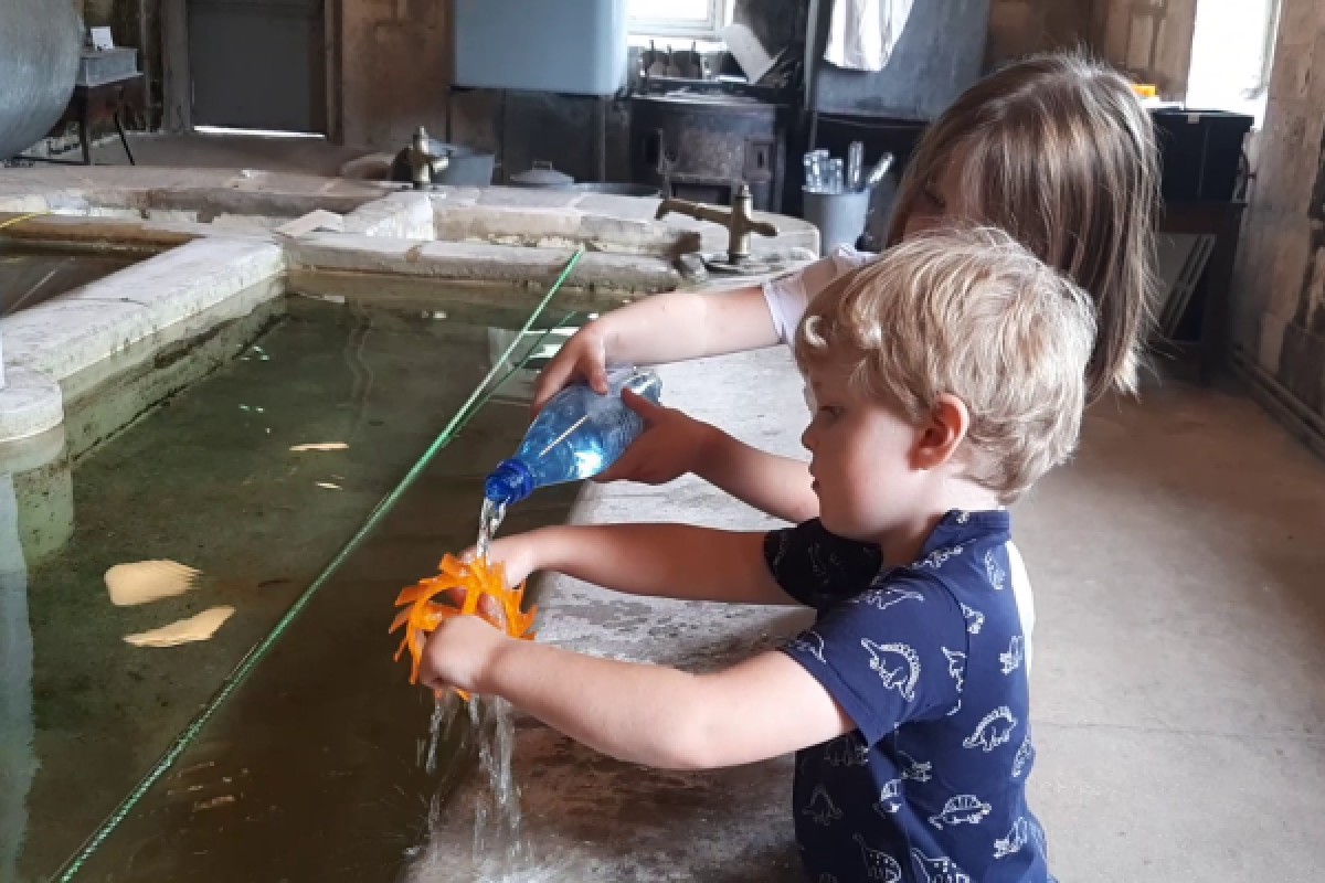 Atelier moulin miniature – L’eau, moteur d’aventures ! - Oise.fun